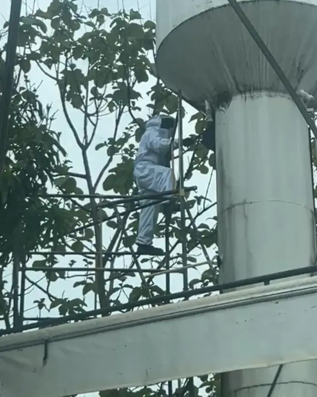 Subida pelo andaime até o enxame de abelhas, no alto da caixa d'água